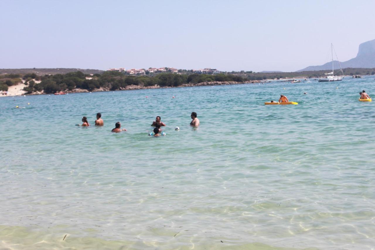 Апартаменты Olbia Tempio Экстерьер фото
